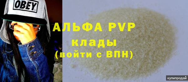 молекула духа Арсеньев