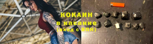 молекула духа Арсеньев