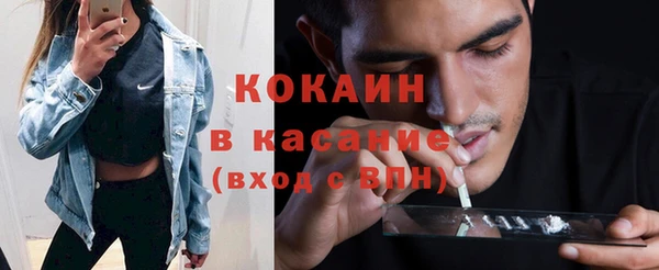 молекула духа Арсеньев