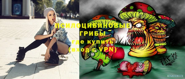 Альфа ПВП Аркадак