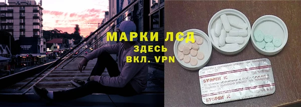 Альфа ПВП Аркадак