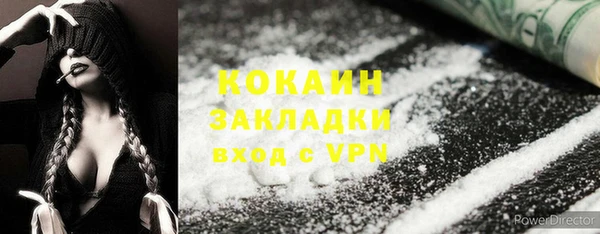 молекула духа Арсеньев