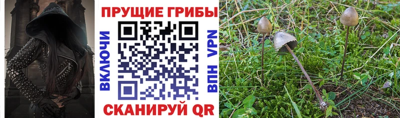 MEGA ссылка  Ленск  Псилоцибиновые грибы ЛСД  наркотики 